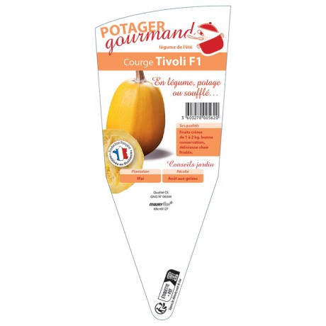COURGE TIVOLI F1
