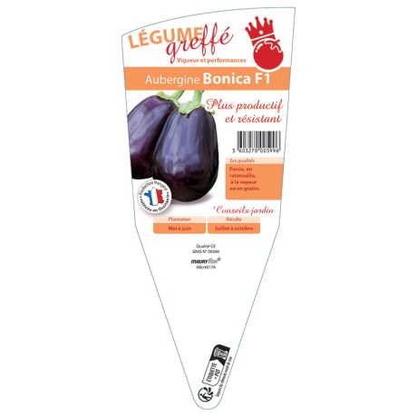 AUBERGINE BONICA GREFFÉE